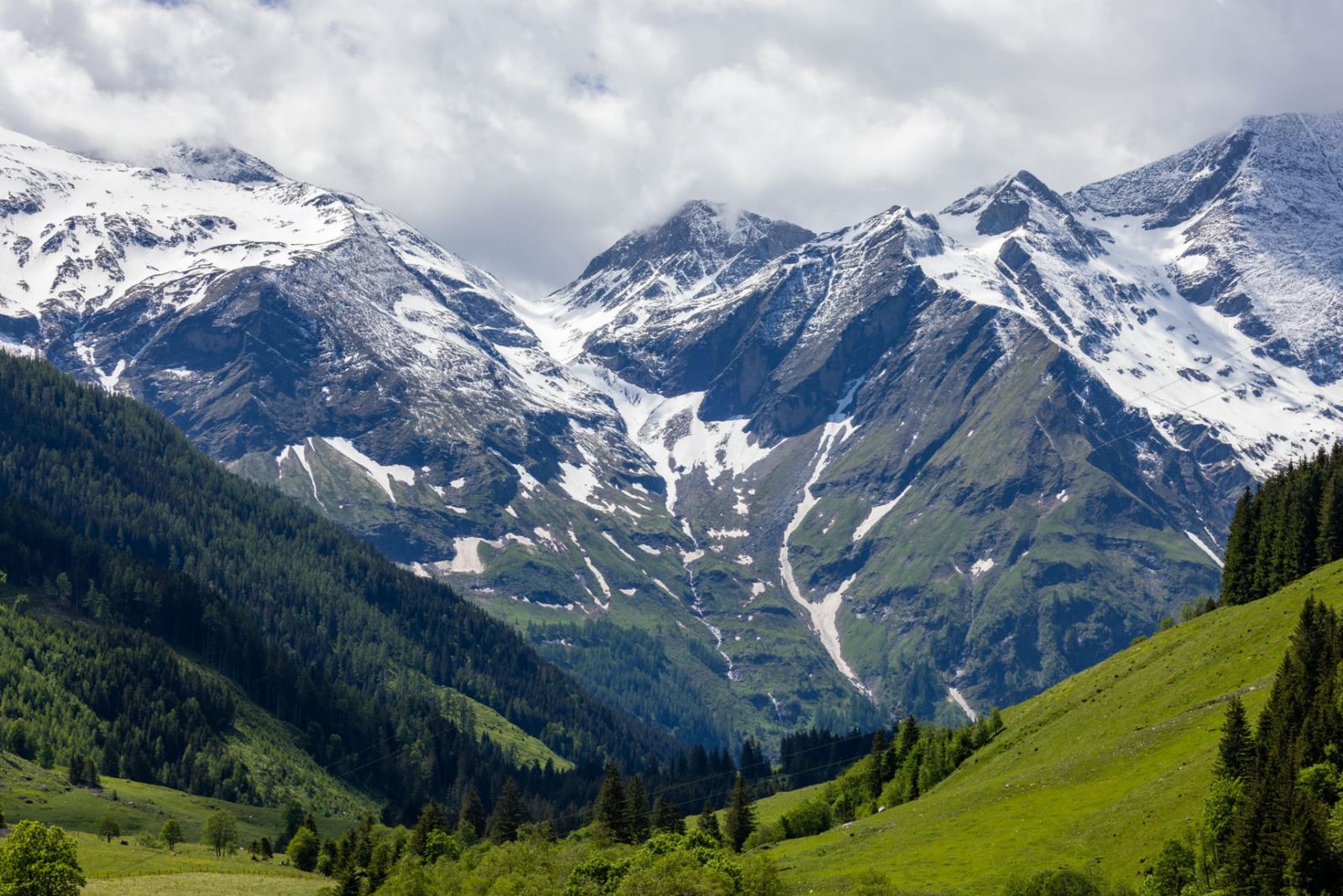Snow-capped mountain range above forested green hills